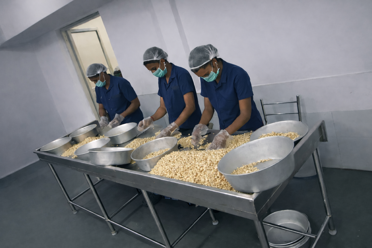 Cashew grading and sorting machine at Vsita International factory