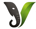 Vsita International Logo
